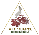 Wild Oglistra escursioni in quad