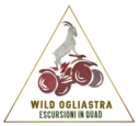 Wild Oglistra escursioni in quad